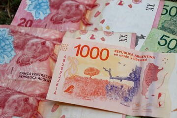 Banknotes of the Argentine Republic. Pesos Argentinos. Money from Argentina. 