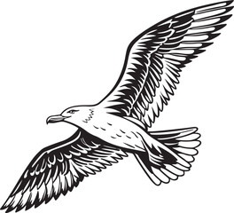 Detailed seagull flying isolated on transparent background vector art illustration