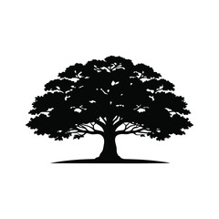 Oak tree silhouette isolated on white
