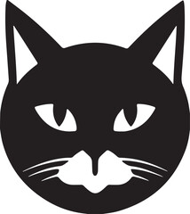 black and white cat