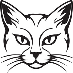 black and white cat face