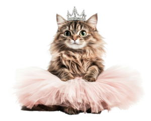 Cat wearing a crown and tutu on a white isolated background.