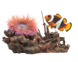 Clownfish and sea anemone with a shipwreck, white isolated background.