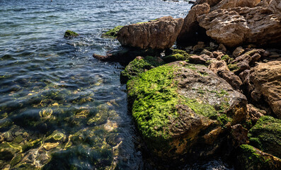 The coastline of the Black Sea consists not only of sandy beaches, but also of rocky slopes.