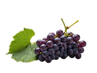 Fototapeta premium grape on transaparent background