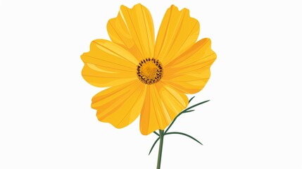 Vibrant Yellow Cosmos Flower in Flat Vector Style Isolated on White Background