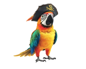 Fototapete Colorful parrot wearing a pirate hat on a white isolated background. © kitidach