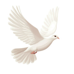 Symbol of Peace: Free Flying White Dove Isolated on White Background on transparent background
