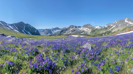 Fototapeta premium A panoramic view of the mountains