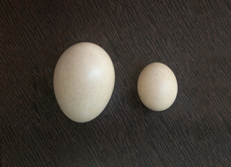 Photo of two chicken eggs of different sizes (large/small) on a plywood board