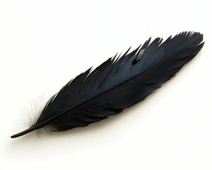 Single black feather isolated on white background. Perfect for elegant designs, gothic themes, or minimalist aesthetics.  High-resolution image.