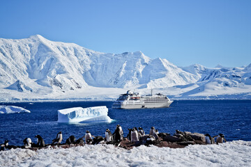 Antarctic Panorama with Icebergs and Cruiseship in Bay
