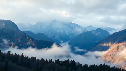 Obraz premium landscape with fog