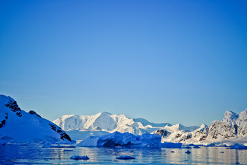 Glacier bay in Antarctica