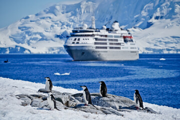 Penguins in front of ship in polar regions