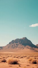 desert landscape with copy space vertically 9:16