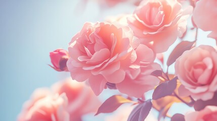 Fototapeta premium Soft Pastel Gradient Floral Background