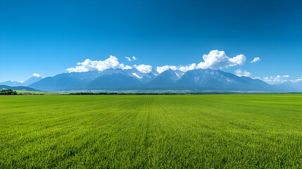 Fototapeta premium Vibrant Green Field and Mountain Landscape Photo