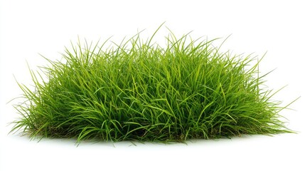 Fototapeta premium Fresh green lawn grass segments with natural texture and vibrant blades isolated on white background. Premium turf photography for landscaping and garden design visualization, cut out