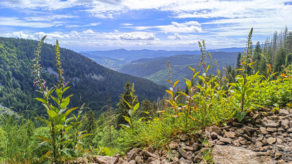 Sentier des Roches dans les Vosges massif du Hohneck - France  © JLS-Prod