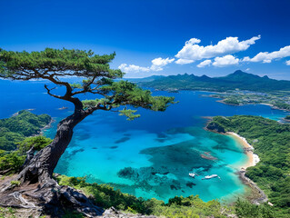 Obraz premium Island Cove Aerial View, Turquoise Waters