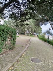 footpath in the park
