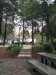 path in the park