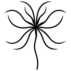 black and white flower