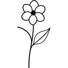 black and white flower