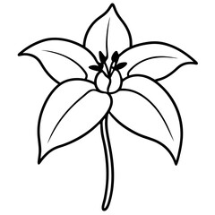 black and white flower