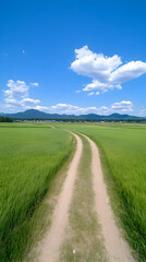 Fototapeta premium Countryside Dirt Road Photo