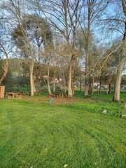 spring in the park