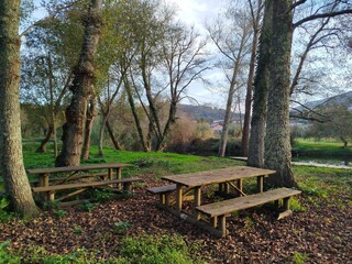 wooden bench in the park, Portugal, vila nova de ceira
