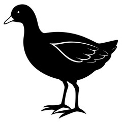 silhouette of a duck