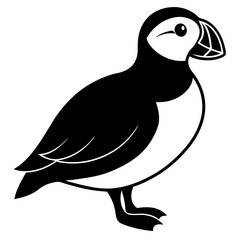 illustration of a bird