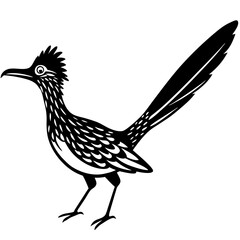 silhouette of a bird