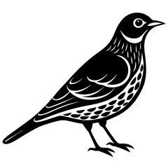 bird on a white background