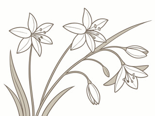 Create a pattern of star-shaped flowers with thin stems in soft beige.
