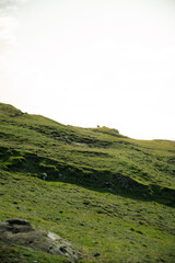 Naklejka premium landscape in the morning in Faroe Island