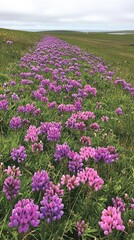 Obraz premium Windy Prairie Skies: Vast grassy plains with wildflowers and tall grasses swaying under the strong gusts of wind, clouds racing across the sky. 