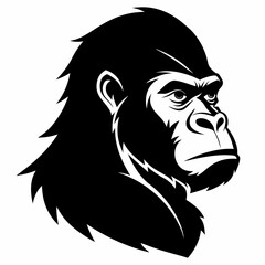 Vector gorilla head silhouette black side view on white background