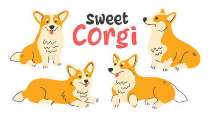 Cute welsh corgi set. Dog poses flat illustrations