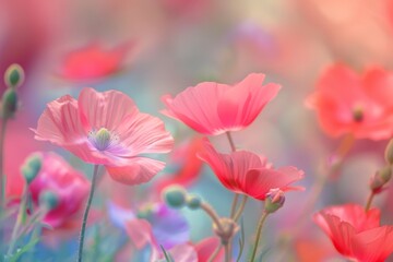 A stunning array of colorful poppies fills the field, dancing in the gentle breeze under a bright sun, creating a serene and cheerful atmosphere in spring.