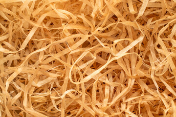 Wood shavings, macro, top view.