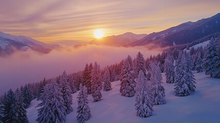 Obraz premium Breathtaking winter sunset over snow-covered mountains and pine trees, creating a serene and magical landscape.