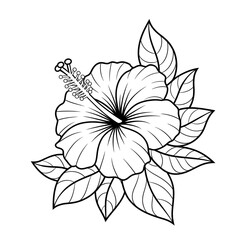 black and white flower isolated
