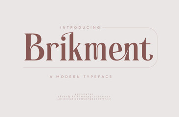Elegant Luxurious Glamour Exclusive Regular Font. Uppercase Lowercase and Number. Minimal Fashion Design

