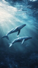 Fototapeta premium beautiful swimming in the sea, aerial view with copy space vertically 9:16