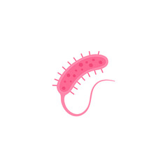 Vibrio cholerae illustration