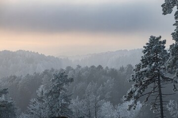 winterly woodlands in upper franconia